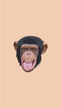 chimpanzee wallpaper
