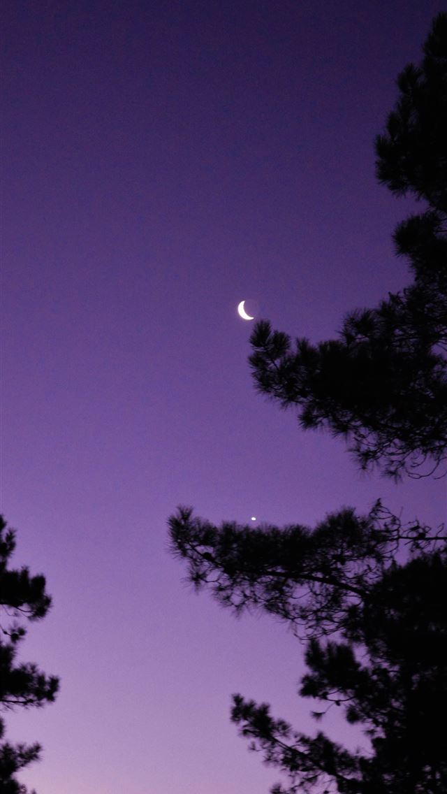 1284x2778 gibbous moon - gibbous moon iPhone Wallpaper