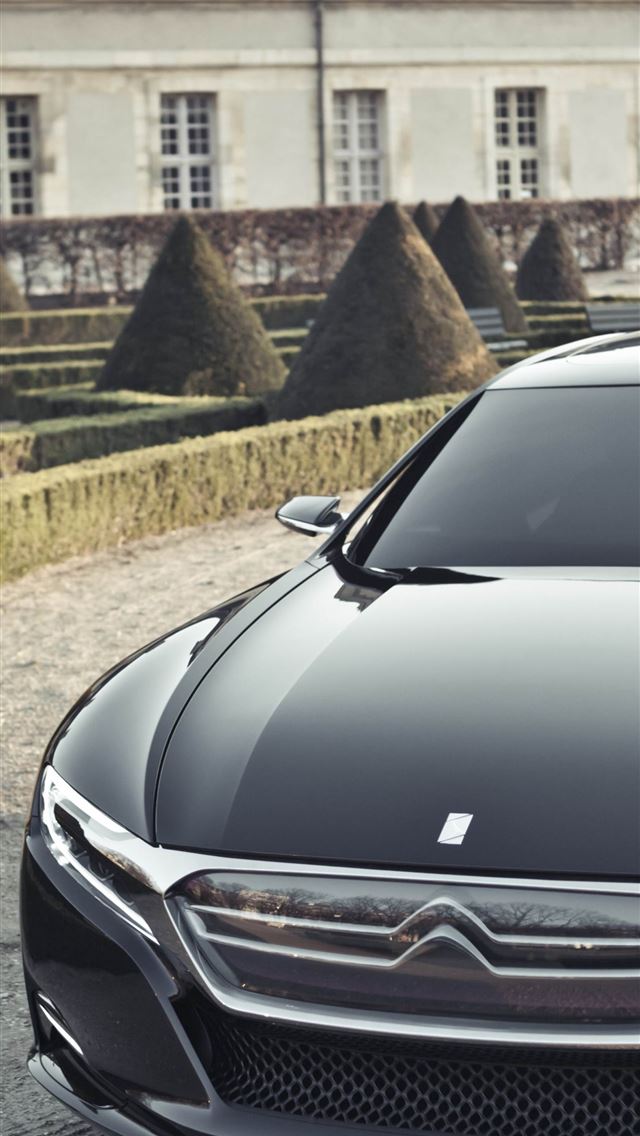 1284x2778 citroen - citroen iPhone Wallpaper