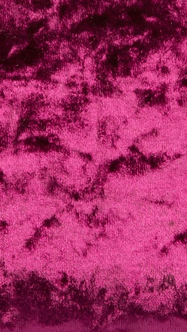 1284x2778 lyon - lyon iPhone Wallpaper