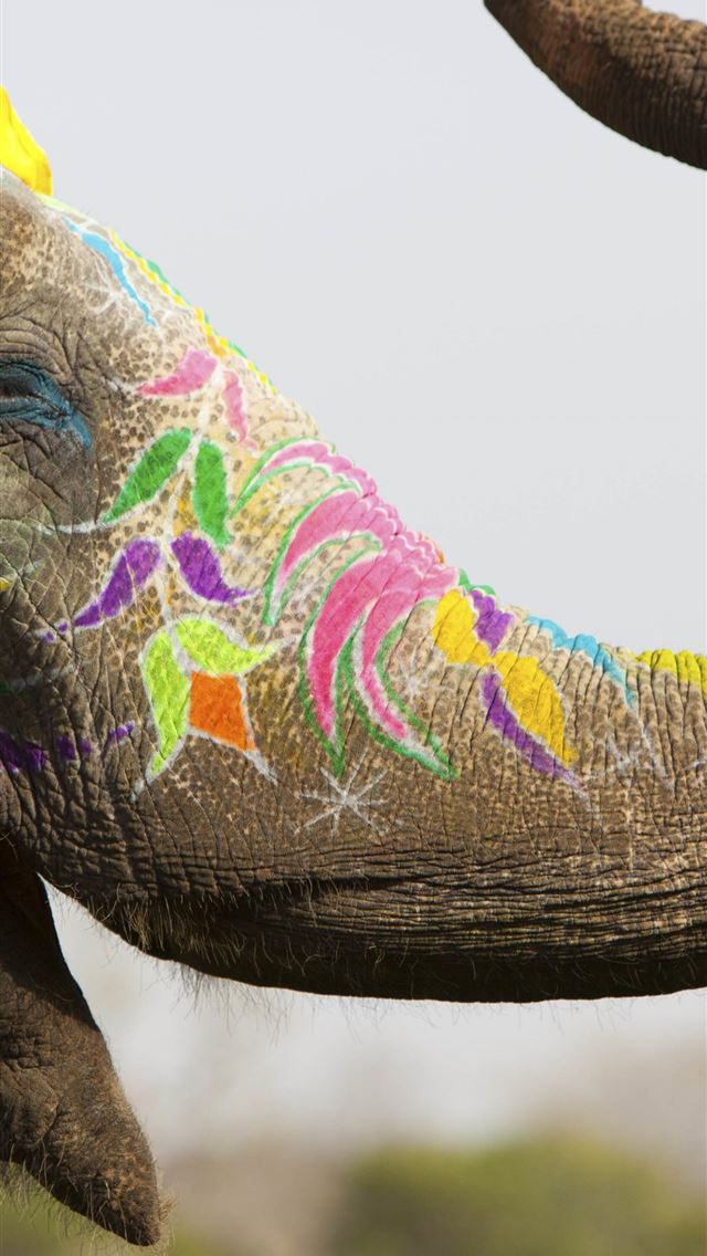 1284x2778 songkran festival - songkran festival iPhone Wallpaper