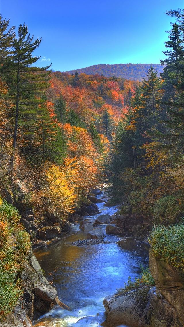 1284x2778 new hampshire - new hampshire iPhone Wallpaper