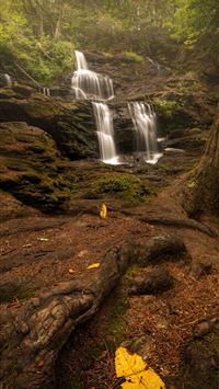 new hampshire wallpaper