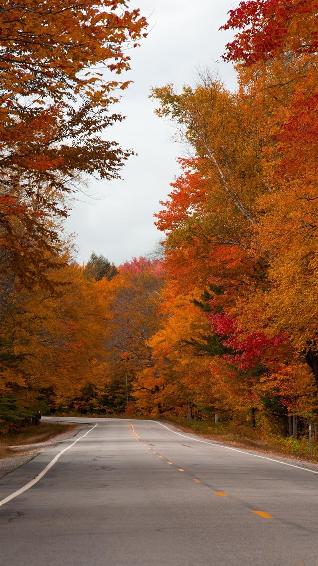 1284x2778 new hampshire - new hampshire iPhone Wallpaper