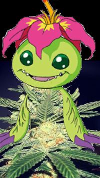 jelly youtuber wallpaper