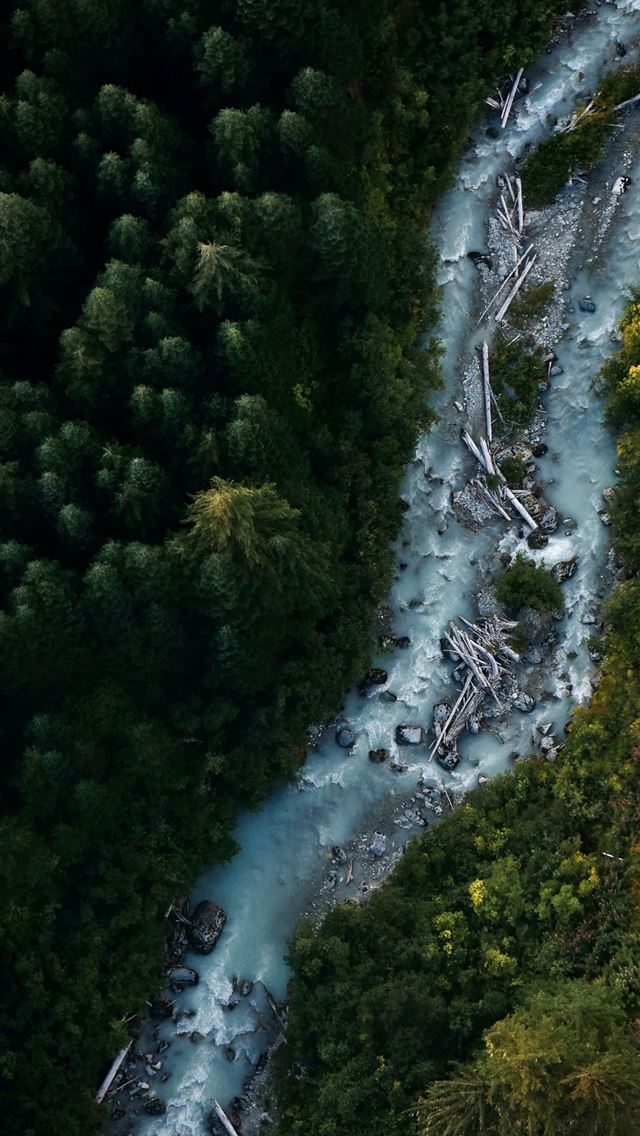 1284x2778 whistler - whistler iPhone Wallpaper