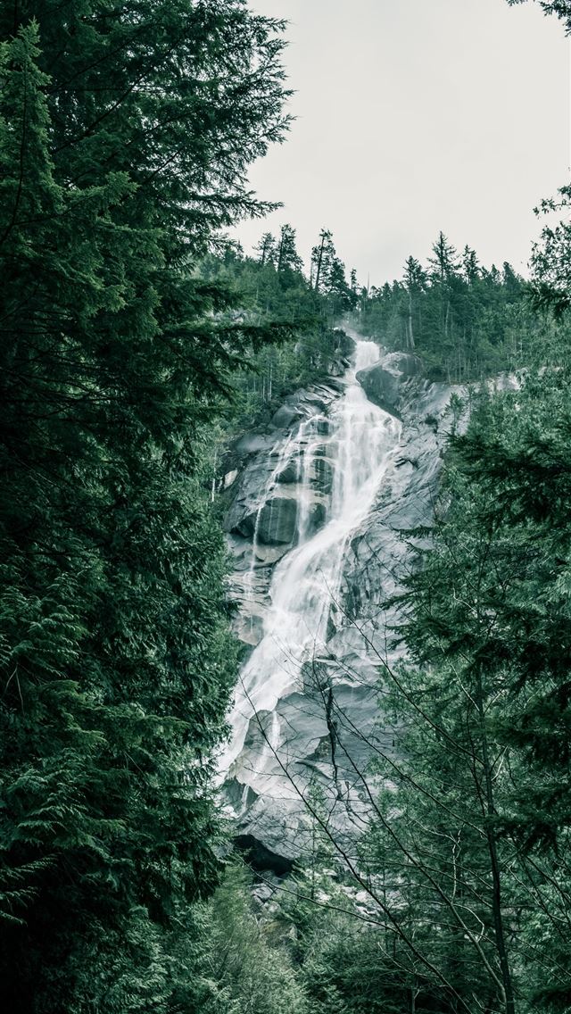 1284x2778 whistler - whistler iPhone Wallpaper