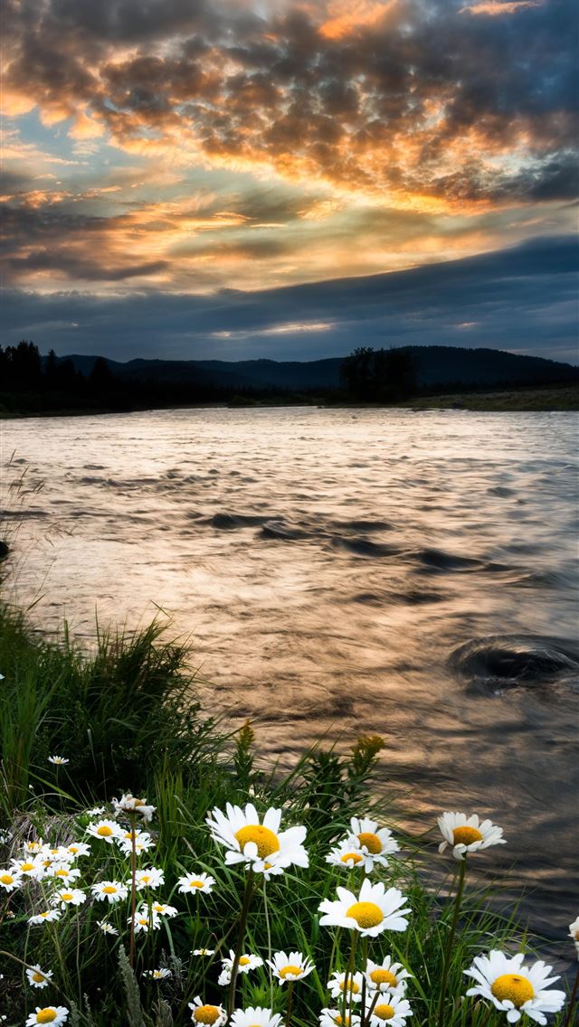 1284x2778 idaho - idaho iPhone Wallpaper