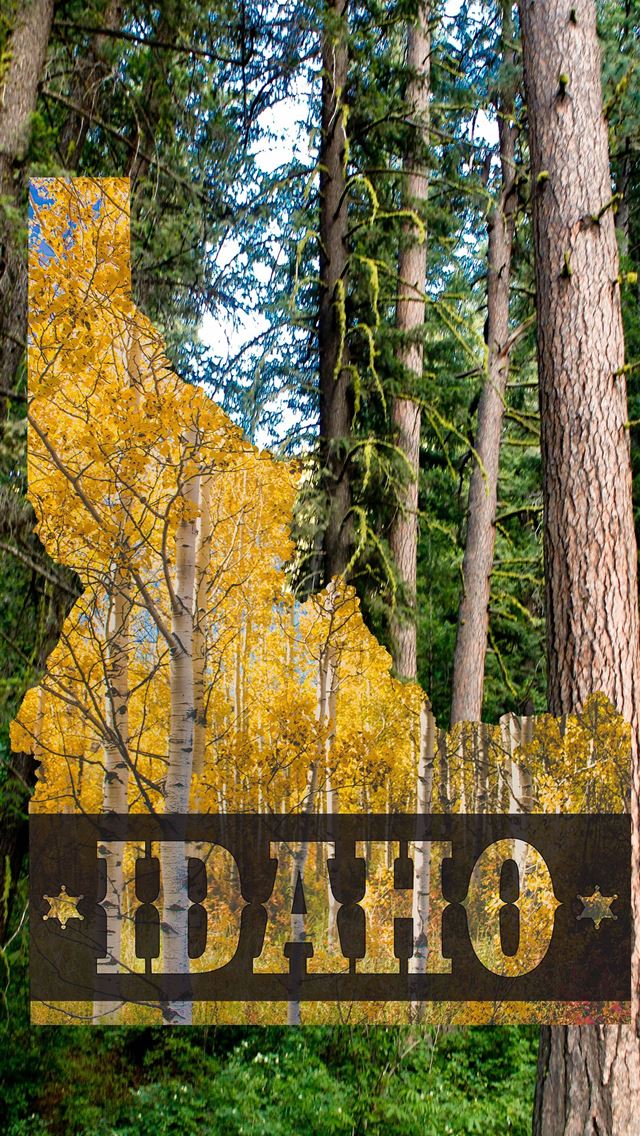 1284x2778 idaho - idaho iPhone Wallpaper