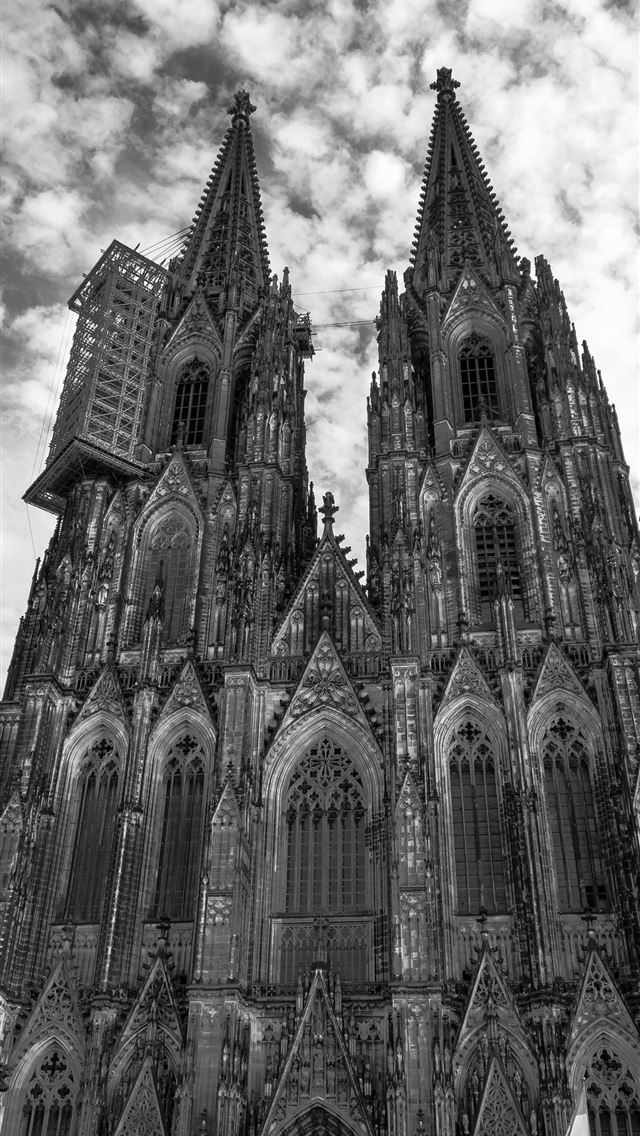 1284x2778 cologne - cologne iPhone Wallpaper