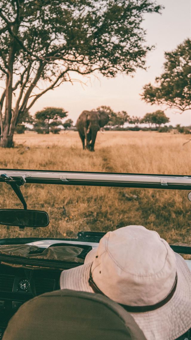 1284x2778 zimbabwe - zimbabwe iPhone Wallpaper