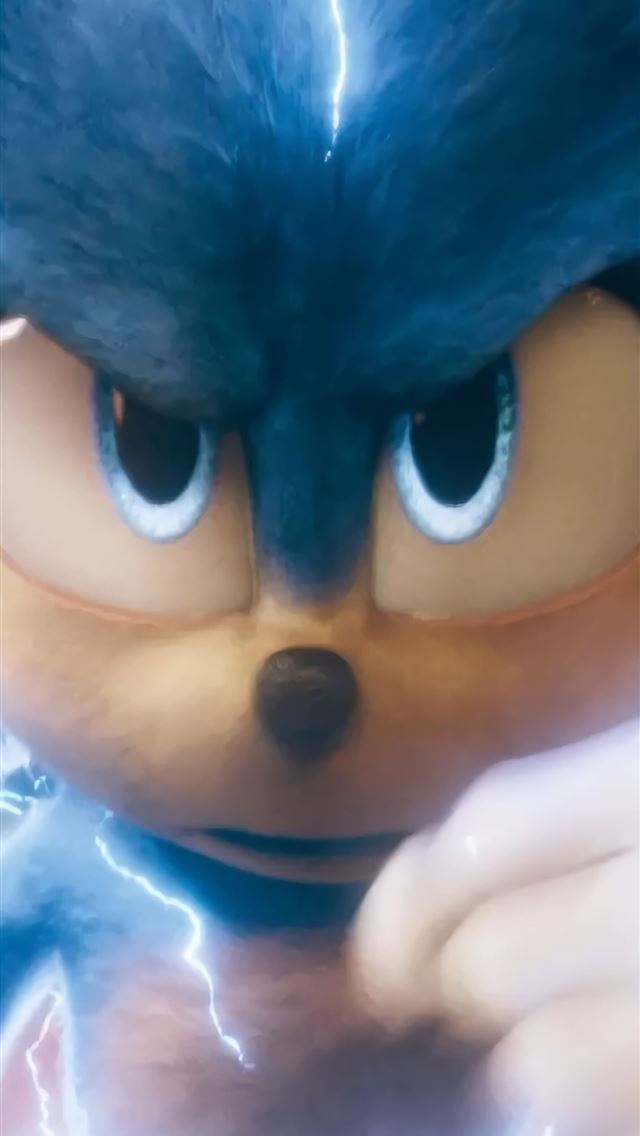 1284x2778 hedgehogs - hedgehogs iPhone Wallpaper
