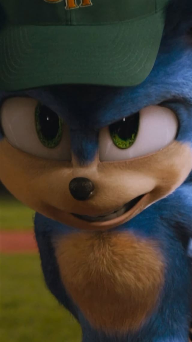 1284x2778 hedgehogs - hedgehogs iPhone Wallpaper