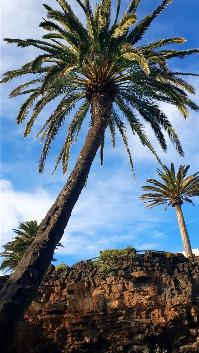 1284x2778 spain - spain iPhone Wallpaper