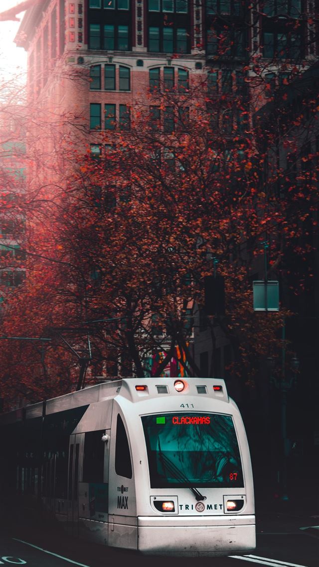 1284x2778 portland - portland iPhone Wallpaper
