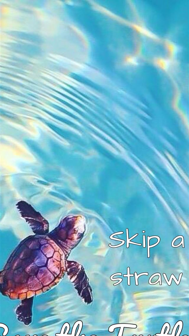 1284x2778 tortoise - tortoise iPhone Wallpaper