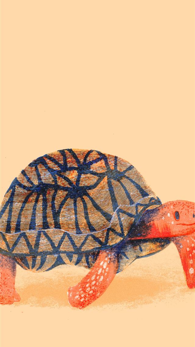 1284x2778 tortoise - tortoise iPhone Wallpaper