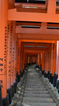 torii gate wallpaper