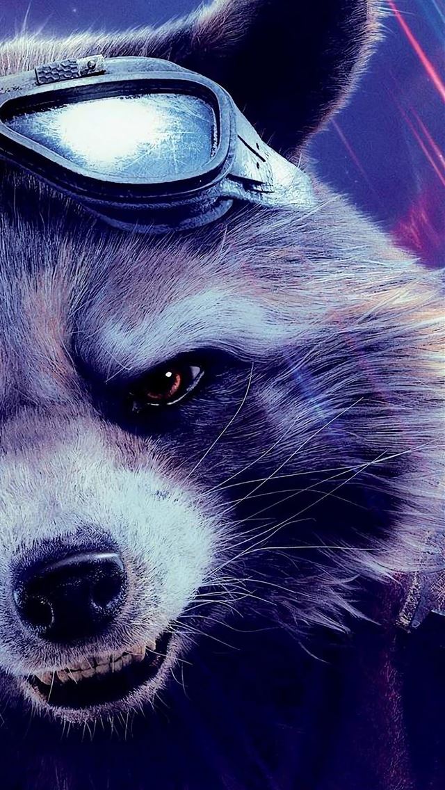1284x2778 raccoons - raccoons iPhone Wallpaper