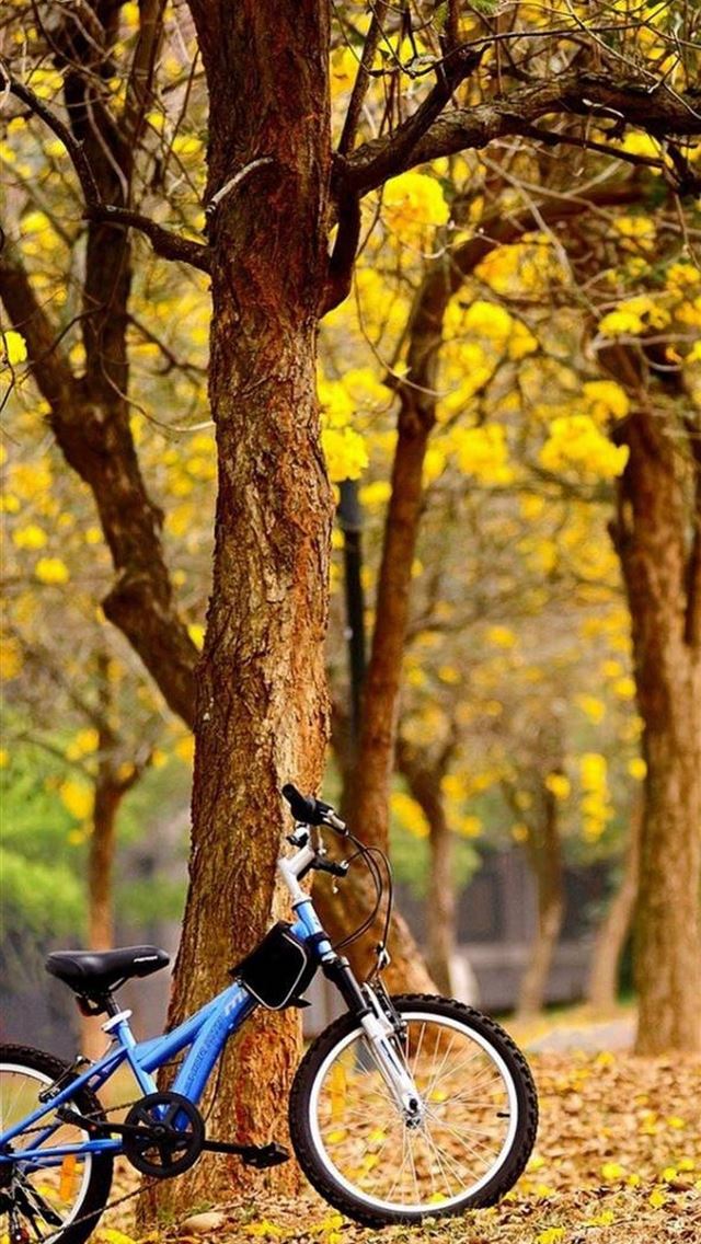 1284x2778 cycling - cycling iPhone Wallpaper