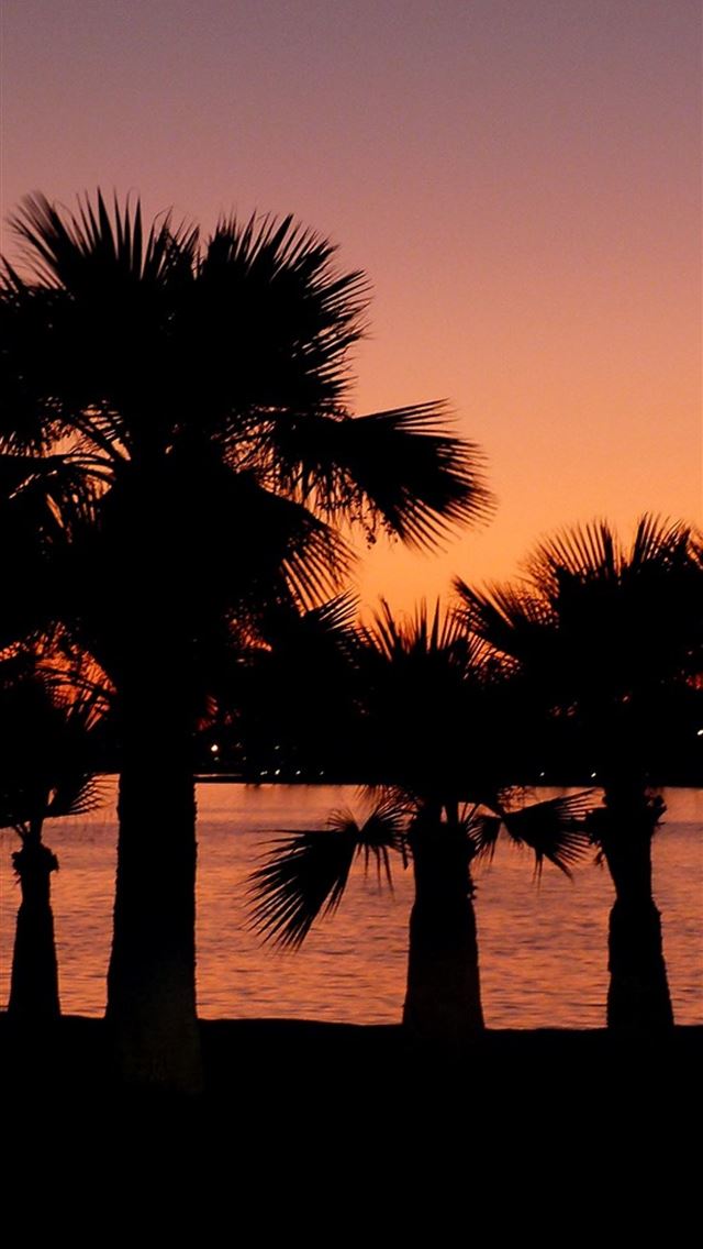 1284x2778 san diego - san diego iPhone Wallpaper