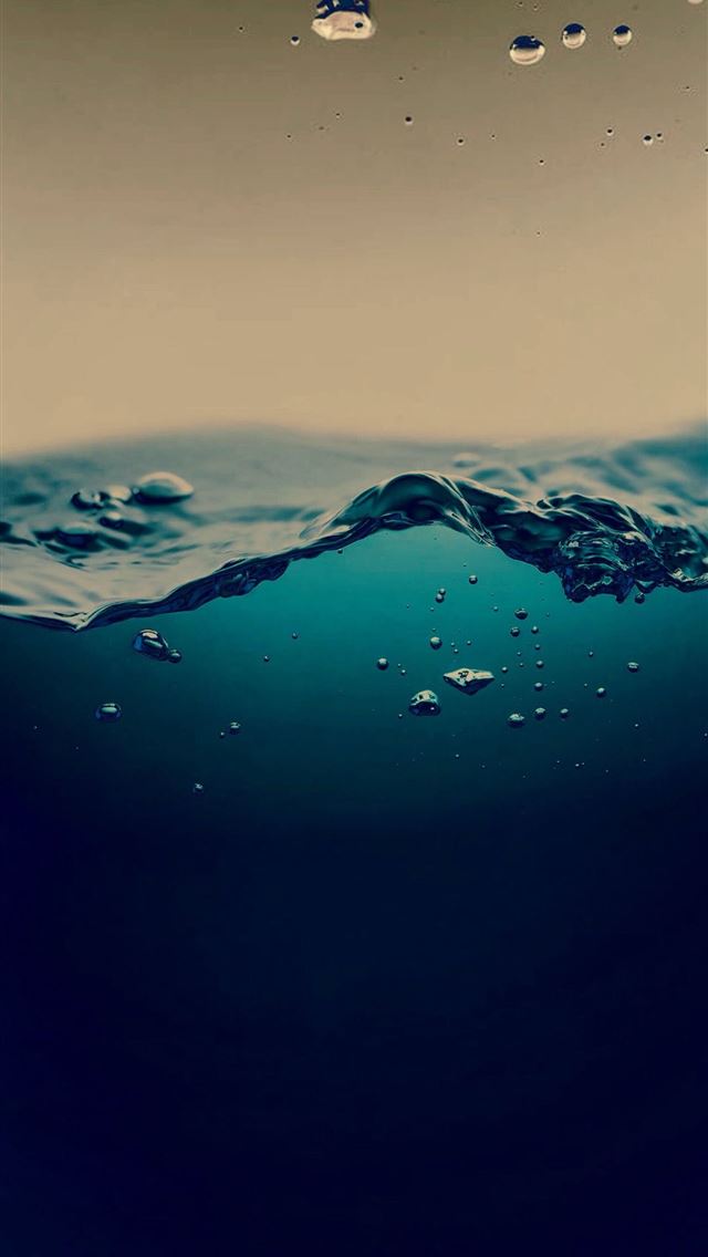1284x2778 tuna - tuna iPhone Wallpaper