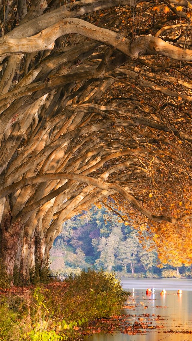 1284x2778 monterrey - monterrey iPhone Wallpaper