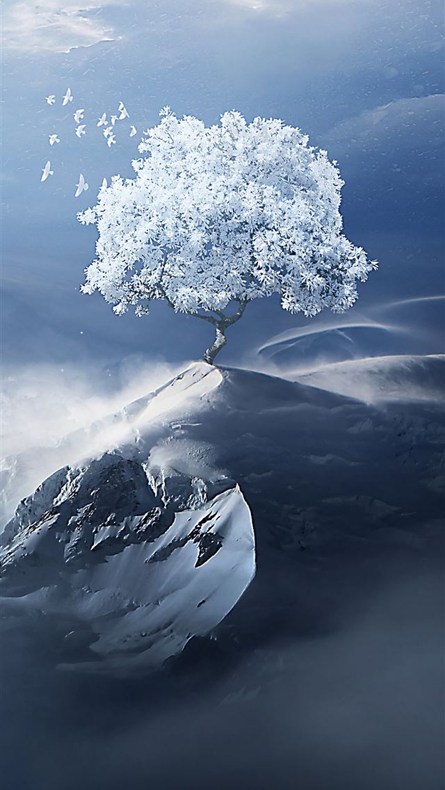 1284x2778 monterrey - monterrey iPhone Wallpaper