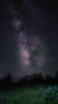 south pole wallpaper