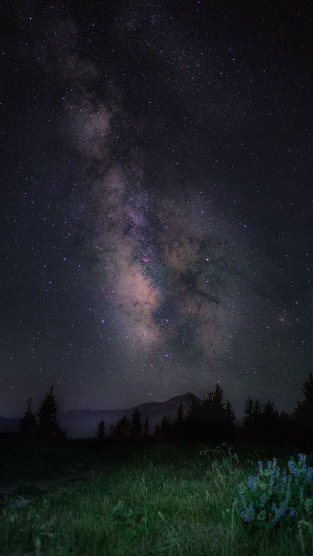 1284x2778 south pole - south pole iPhone Wallpaper
