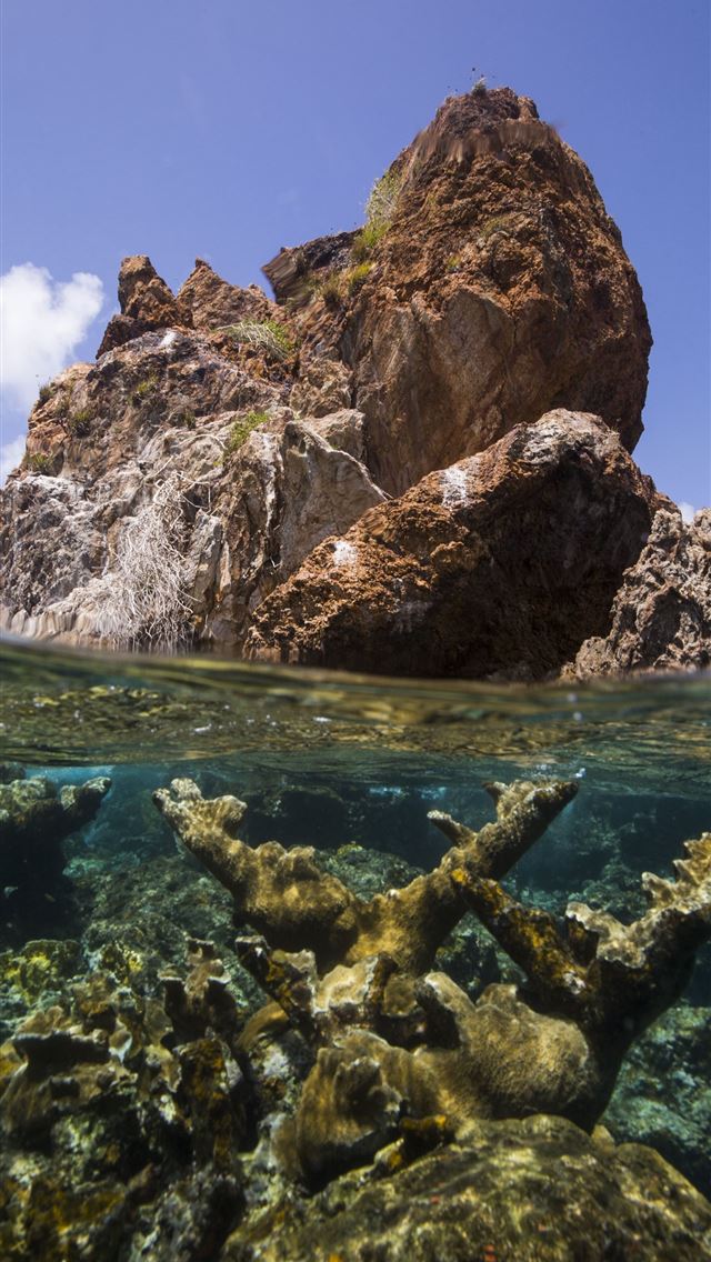 1284x2778 virgin islands national park - virgin islands national park iPhone Wallpaper