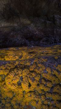 virgin islands national park wallpaper