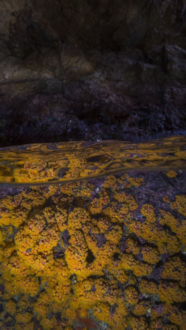 1284x2778 virgin islands national park - virgin islands national park iPhone Wallpaper