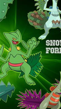Mega sceptile Wallpapers Download  MobCup