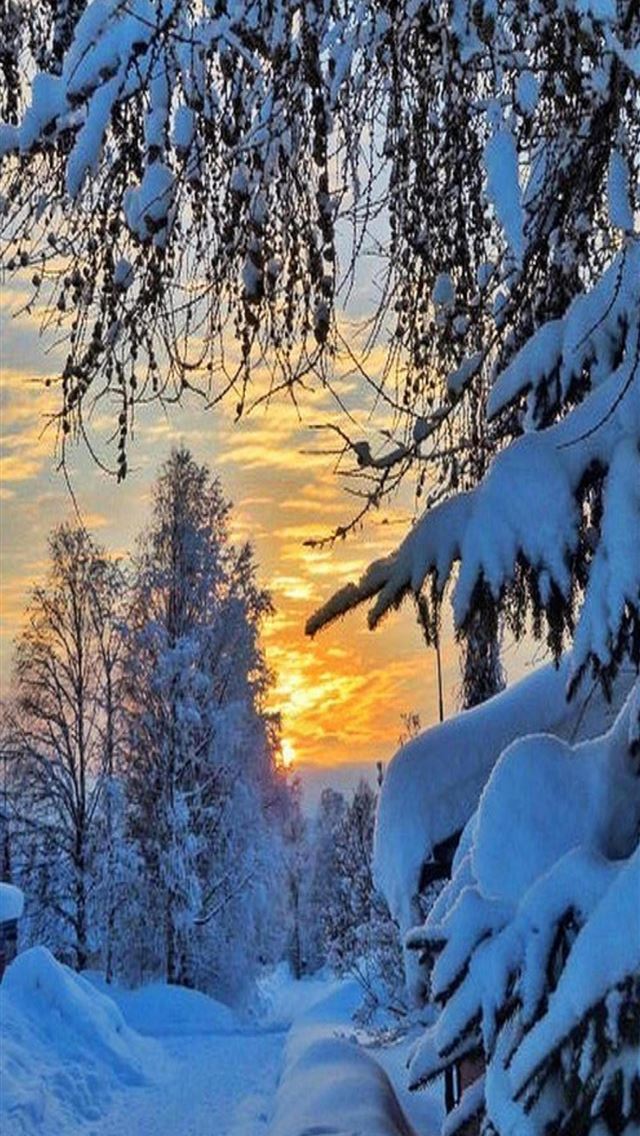 1284x2778 sweden - sweden iPhone Wallpaper
