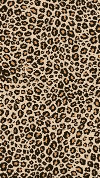leopards wallpaper