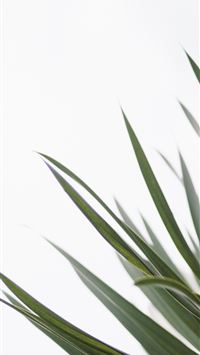 lencois maranhenses national park wallpaper