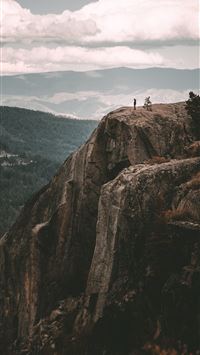 international day of forests wallpaper