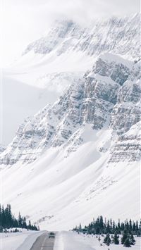 international day of forests wallpaper