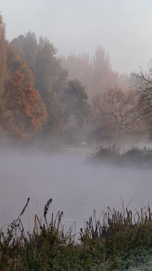 1284x2778 riverbank - riverbank iPhone Wallpaper