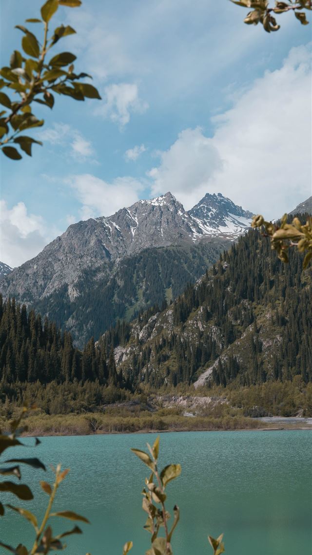 1284x2778 riverbank - riverbank iPhone Wallpaper