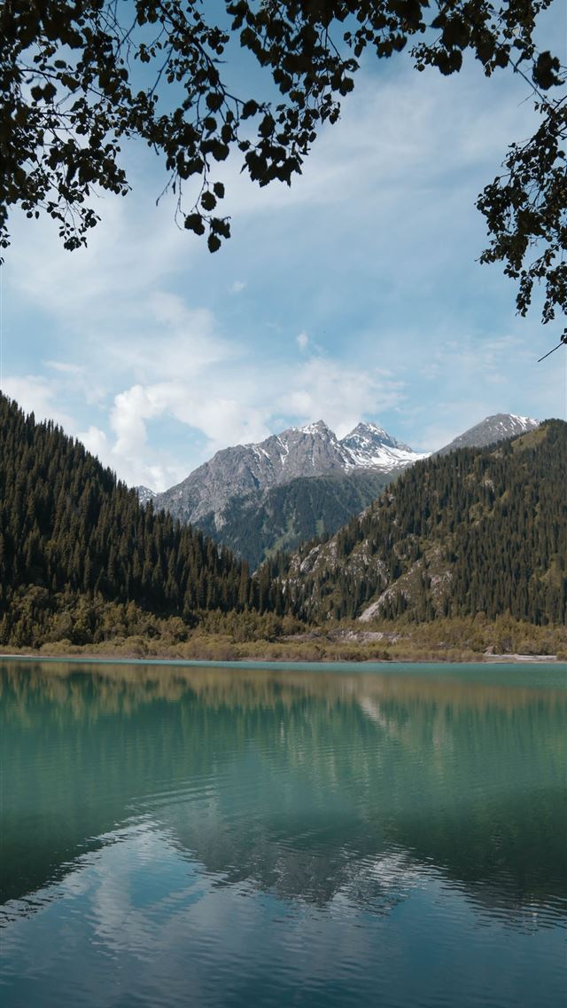 1284x2778 riverbank - riverbank iPhone Wallpaper