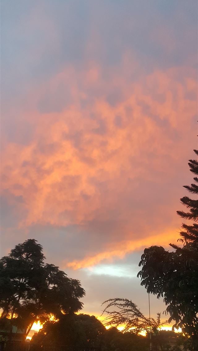 1284x2778 zambia - zambia iPhone Wallpaper