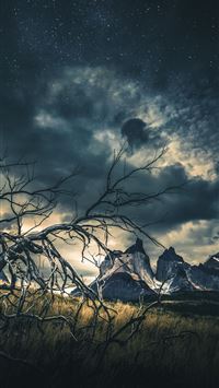 johannesburg wallpaper