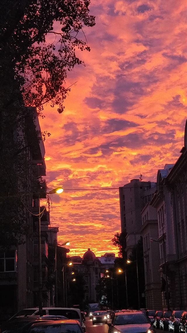 1284x2778 bucharest - bucharest iPhone Wallpaper