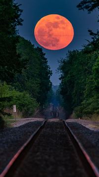 strawberry moon wallpaper