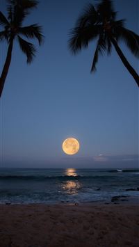 strawberry moon wallpaper