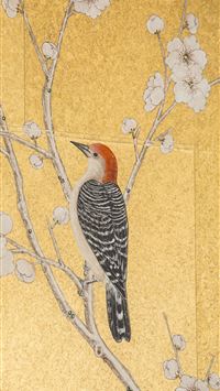 woodpecker wallpaper