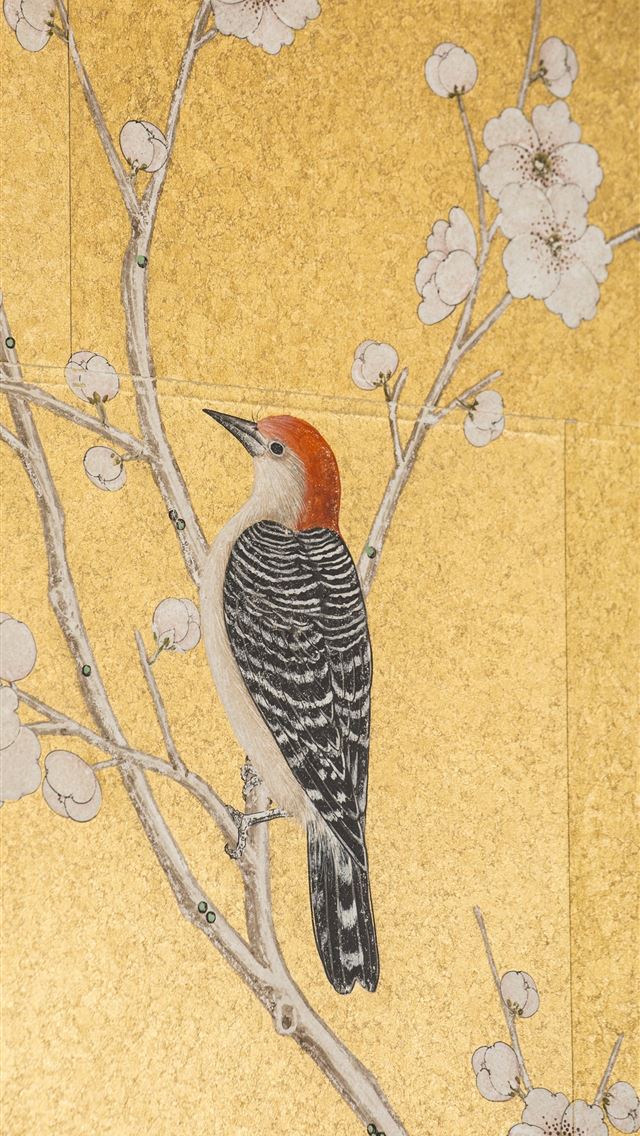 1284x2778 woodpecker - woodpecker iPhone Wallpaper