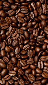 papua new guinea wallpaper